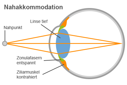 Grafik Nahakkommodation