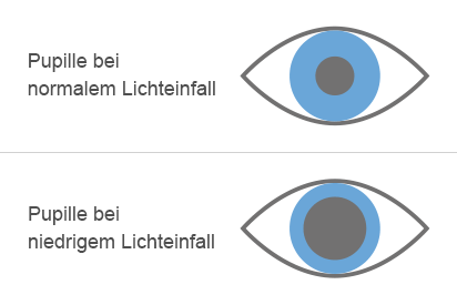 Pupille bei unterschiedlichem Lichteinfall